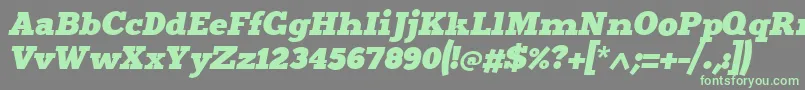 Merititalic4-Schriftart – Grüne Schriften auf grauem Hintergrund