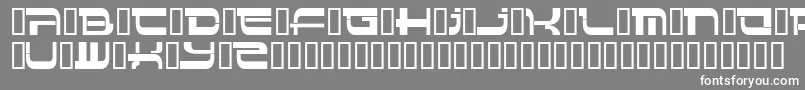Insert 4 Font – White Fonts on Gray Background