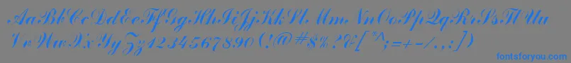 フォントClarionRegular – 灰色の背景に青い文字