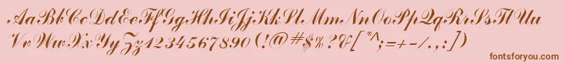 ClarionRegular Font – Brown Fonts on Pink Background