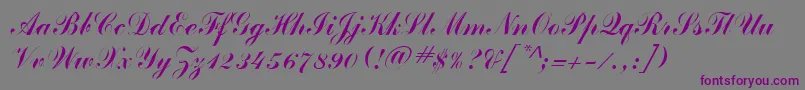 ClarionRegular Font – Purple Fonts on Gray Background