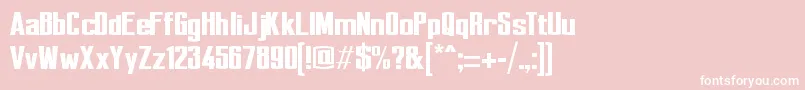 Perca Font – White Fonts on Pink Background