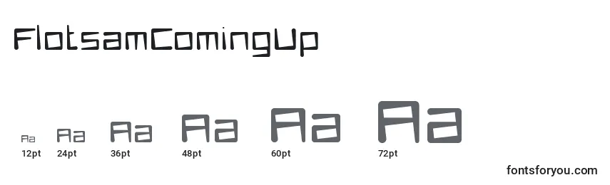 FlotsamComingUp Font Sizes