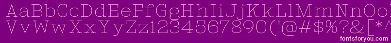 KingsbridgeExUl Font – Pink Fonts on Purple Background