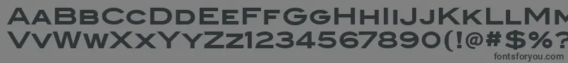 BlairitcTtBold Font – Black Fonts on Gray Background