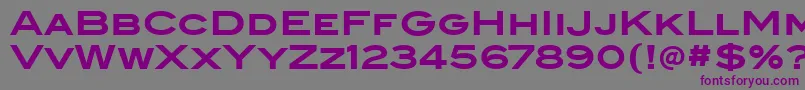 BlairitcTtBold-fontti – violetit fontit harmaalla taustalla