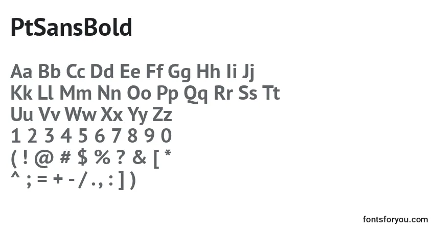 Czcionka PtSansBold – alfabet, cyfry, specjalne znaki