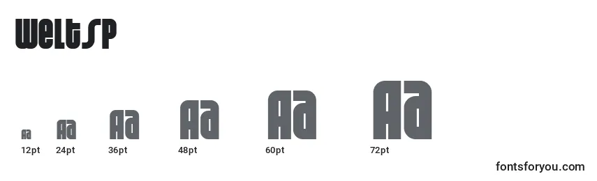 Weltsp Font Sizes