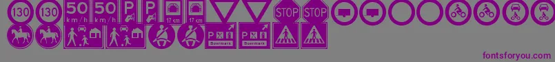 Weitere Informationen zur TrafficSignsTfb-Schriftart TrafficSignsTfb-Schriftart – Violette Schriften auf grauem Hintergrund