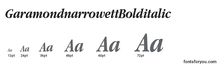 GaramondnarrowettBolditalic Font Sizes