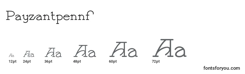 Größen der Schriftart Payzantpennf (46701)