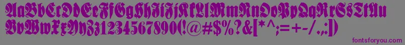 Шрифт Schmale – фиолетовые шрифты на сером фоне