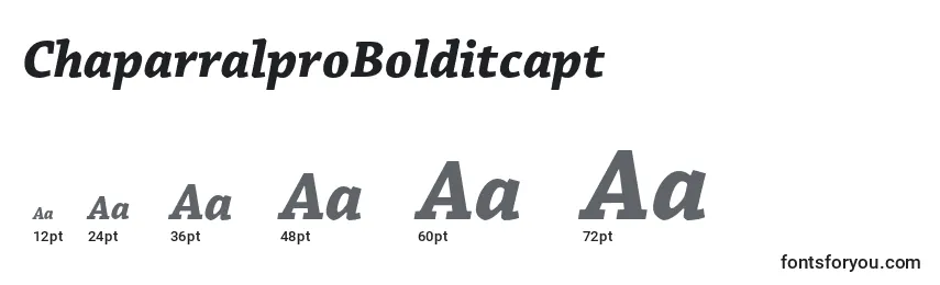 Размеры шрифта ChaparralproBolditcapt