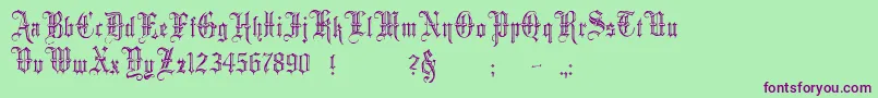 MinsterNo5 Font – Purple Fonts on Green Background