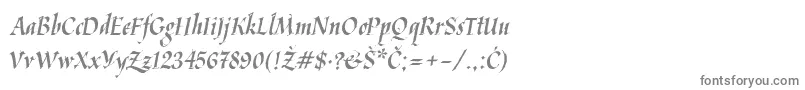 フォントKaligraf Latin – 白い背景に灰色の文字