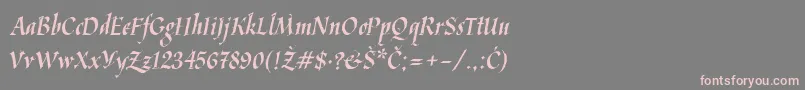 Kaligraf Latin-Schriftart – Rosa Schriften auf grauem Hintergrund