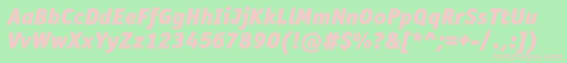 OfficinasansblackcItalic Font – Pink Fonts on Green Background