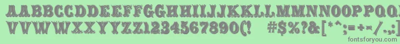 CarnivalMfRimmed Font – Gray Fonts on Green Background