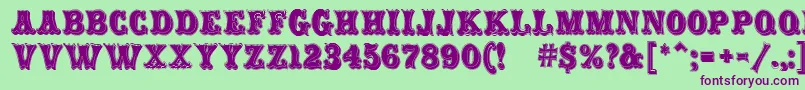 CarnivalMfRimmed Font – Purple Fonts on Green Background