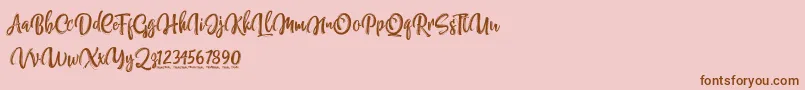 NettizenTrial Font – Brown Fonts on Pink Background