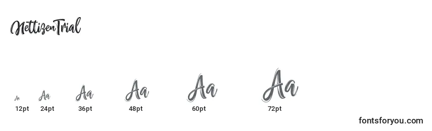 NettizenTrial Font Sizes