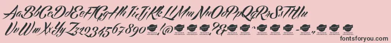 EchinosParkScriptPersonalUseOnly Font – Black Fonts on Pink Background