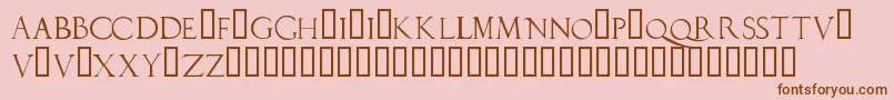 Duererlatincapitals Font – Brown Fonts on Pink Background