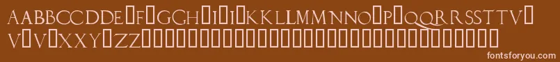 Duererlatincapitals Font – Pink Fonts on Brown Background
