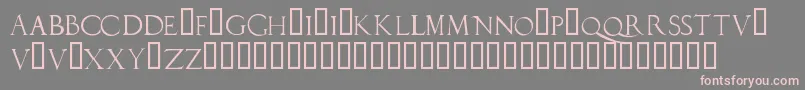 フォントDuererlatincapitals – 灰色の背景にピンクのフォント