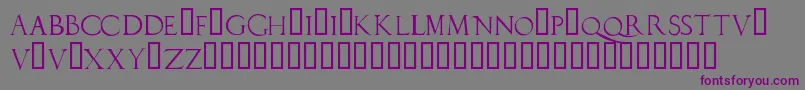 Шрифт Duererlatincapitals – фиолетовые шрифты на сером фоне