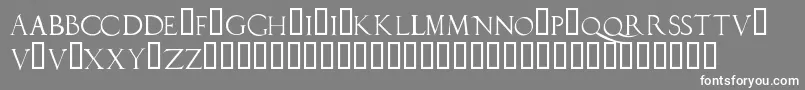 Duererlatincapitals Font – White Fonts on Gray Background
