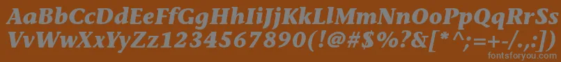 StoneinformalstdBolditalic-fontti – harmaat kirjasimet ruskealla taustalla