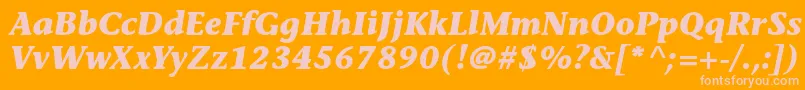 StoneinformalstdBolditalic Font – Pink Fonts on Orange Background