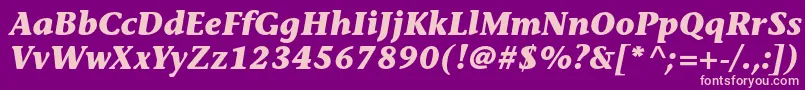 StoneinformalstdBolditalic Font – Pink Fonts on Purple Background
