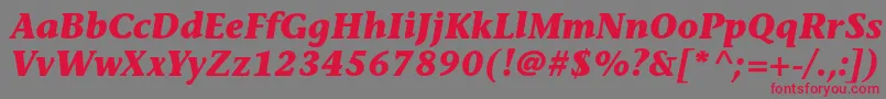 フォントStoneinformalstdBolditalic – 赤い文字の灰色の背景