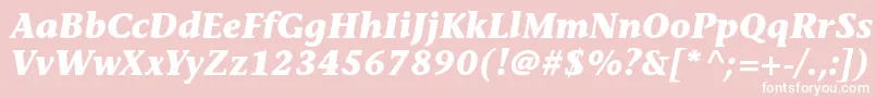 StoneinformalstdBolditalic Font – White Fonts on Pink Background