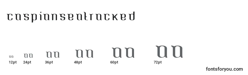 Размеры шрифта Caspianseatracked