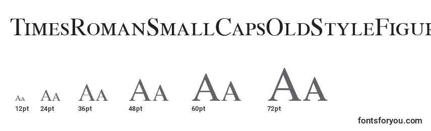 TimesRomanSmallCapsOldStyleFigures Font Sizes