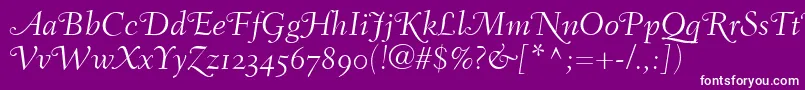 FairfieldLh46SwashLightItalicOldStyleFigures Font – White Fonts on Purple Background