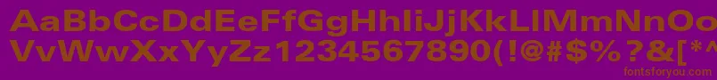 UniversltstdBlackex Font – Brown Fonts on Purple Background