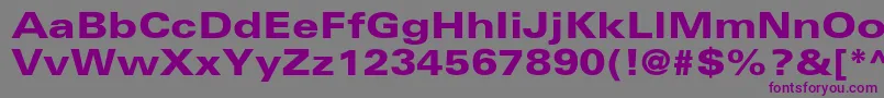 UniversltstdBlackex Font – Purple Fonts on Gray Background