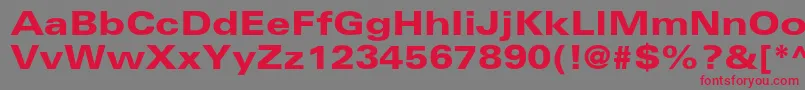 UniversltstdBlackex Font – Red Fonts on Gray Background