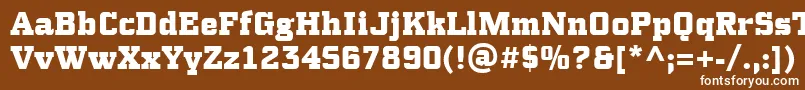 PfsynchproBlack Font – White Fonts on Brown Background