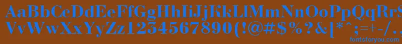 BodoninovaBold Font – Blue Fonts on Brown Background