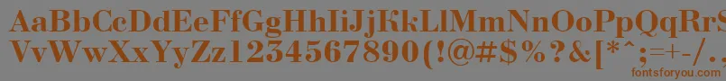 BodoninovaBold Font – Brown Fonts on Gray Background