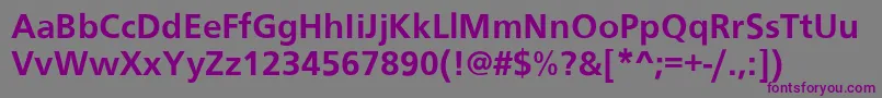 Roissy Font – Purple Fonts on Gray Background