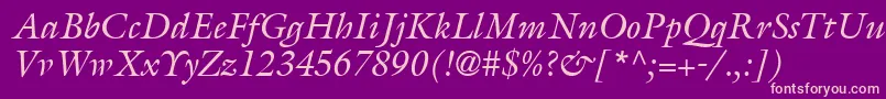 AcanthusSsiItalic Font – Pink Fonts on Purple Background