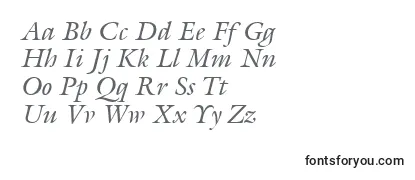 Обзор шрифта AcanthusSsiItalic