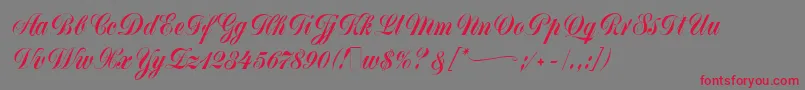 Шрифт MonikaScript – красные шрифты на сером фоне