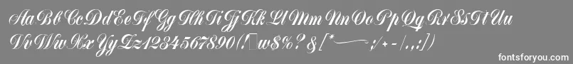 MonikaScript Font – White Fonts on Gray Background